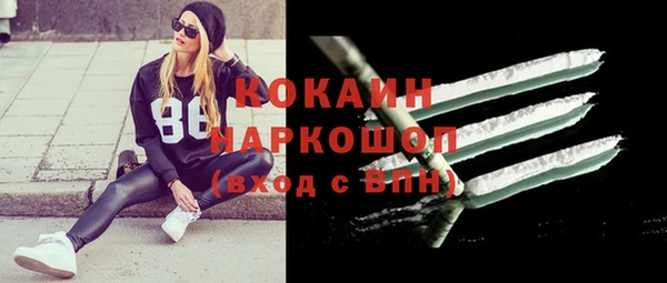 ешки Билибино