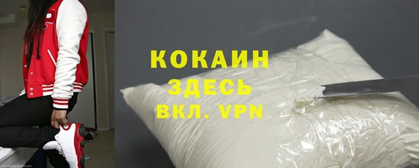 ешки Билибино