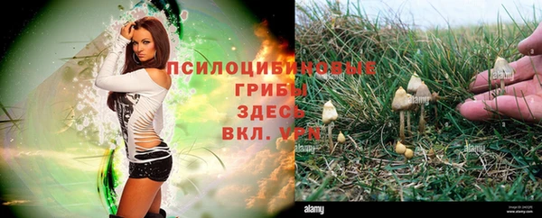 бутират Беслан