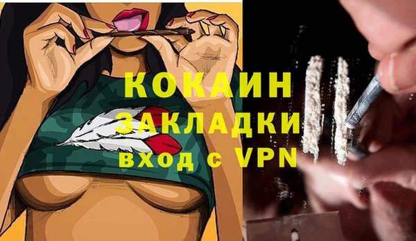 apvp Арсеньев